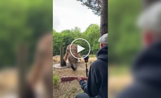 Музика, яка об'єднує людей і тварин.