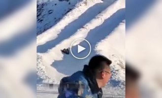 Weird Videos (Short Videos) Issue 37