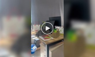 Перший день після свят