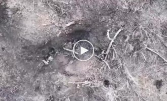 A Russian soldier throws a bomb fired at him from a Ukrainian drone towards his comrade