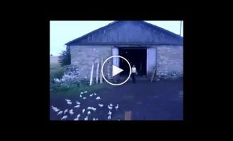 Дрессировщик 100-го уровня