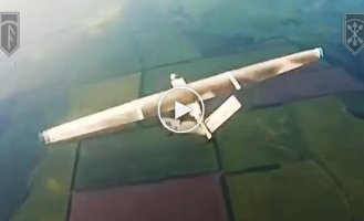 Бойцы 3-й ОШБр установили рекорд и сбили в небе 268 вражеских беспилотников всего за месяц
