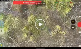 Росіянин застрелився в кущах із автомата