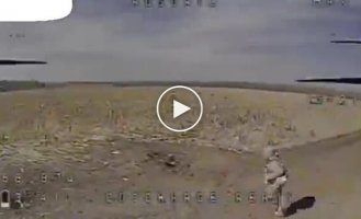 Kamikaze drone chased Russian invader to death in a field