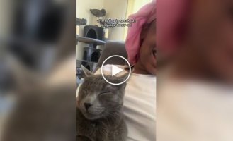 Девушка попыталась поговорить с котом на его языке
