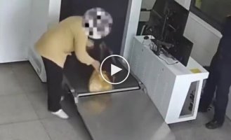 В Китае женщина пыталась провезти 1 кг живых бамбуковых червей