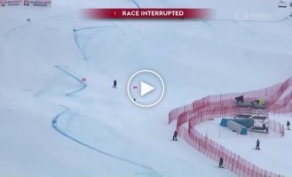 A mischievous dog ran out onto the ski slope during the competition