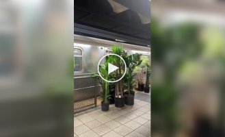 Большой переезд у садовника