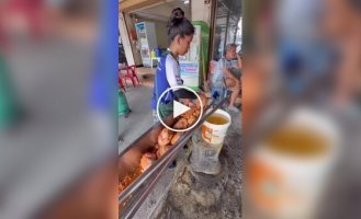 Куда исчезли курочки гриль