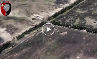 Ukrainian defenders destroyed 10 units of enemy equipment at once