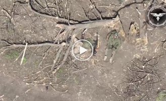 Left without both legs: a kamikaze drone eliminated the occupier in the Avdiivka direction