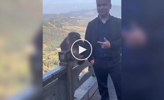 The monkey tried to scare the man