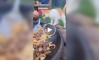 Комплимент от шеф-повара