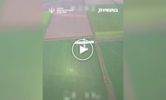 Сили безпілотних систем атакували ворожі дрони: Блискавка-2, Zala Z-16, Supercam S350, Орлан-10