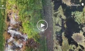 Сили оборони за допомогою дронів завдали ударів по російським мотоциклам і буханцям на Куп'янському напрямку.