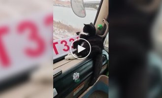 Самый важный пассажир