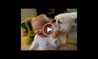 Милые отношения ребенка и собаки