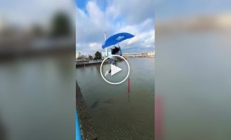 Какая-то она чокнутая
