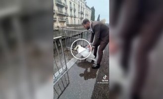 Мужчина помог лебедю выбраться из городской ловушки