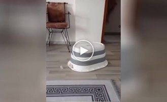 Fluffy robot vacuum cleaner