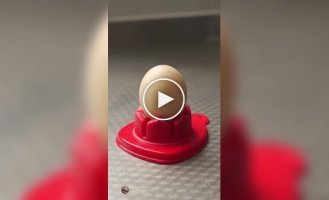 Высокая кухня от китайского кулинара