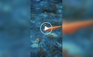Красивый водоем, будто сошедший с картины художника