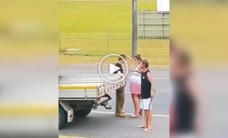 A Strange Road Brawl in Australia