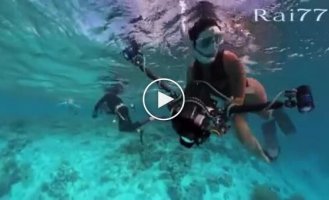 A shark attack on a girl was caught on video