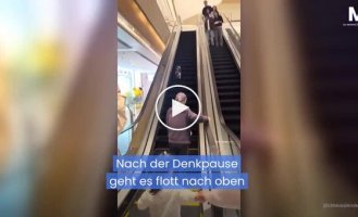 В торговом центре в Шанхае кошка безуспешно пыталась подняться по эскалатору