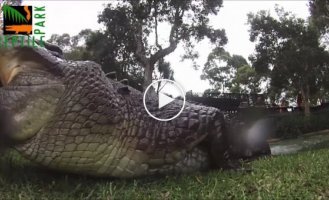 Экшн-камера продолжила съемку в пасти крокодила
