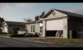 Кумедна реклама з кошенятами в мініатюрному місті