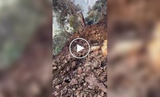 The dog rode in a landslide and remained unharmed