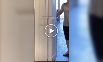 Необычные гибкие двери