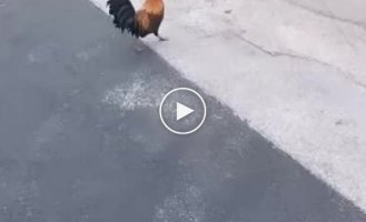 Что вы делаете, глупцы