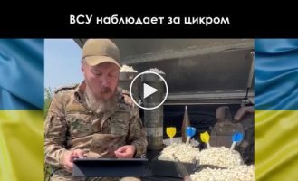 Бунт пригожина в короткому зведенні