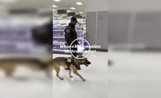 Служебный пес узнал своего первого хозяина и моментально растаял