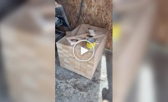 Оригинальный ящик для холодильника с пивом