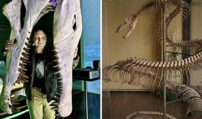 14 жутких доисторических монстры, чьи останки были найдены в разных частях света (15 фото)