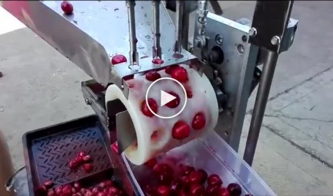 Getting rid of stones in cherries using automation