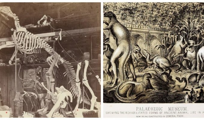 Історія найдивнішого акту вандалізму в палеонтології (5 фото)