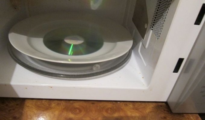 Компакт-диск в микроволновой печи (4 фото)