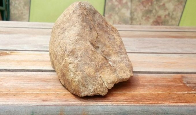Расколовшийся камень показал свое содержимое (3 фото)