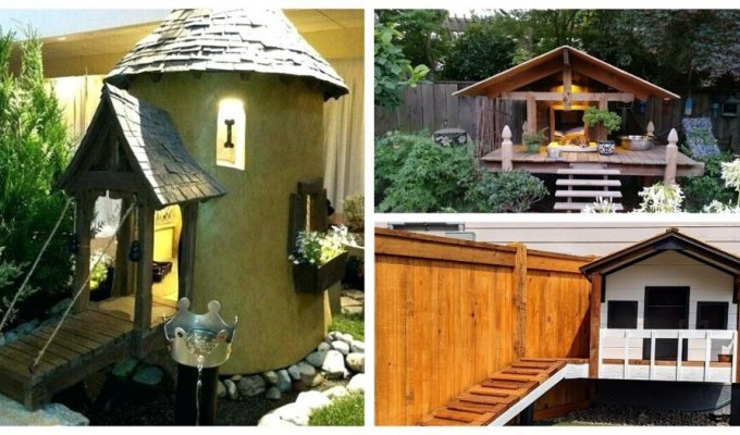 Puppy delight: homemade houses for pets (38 photos)