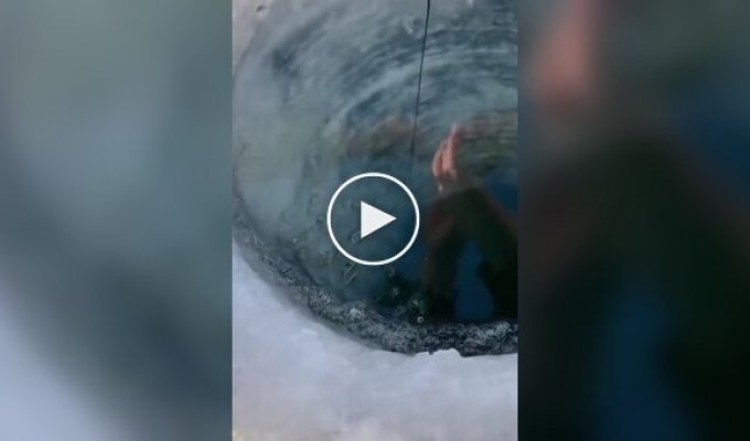 Пацаны на рыбалке: эмоции зашкаливают!