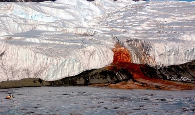 27 фактов об Антарктиде, которые вас удивят (28 фото)