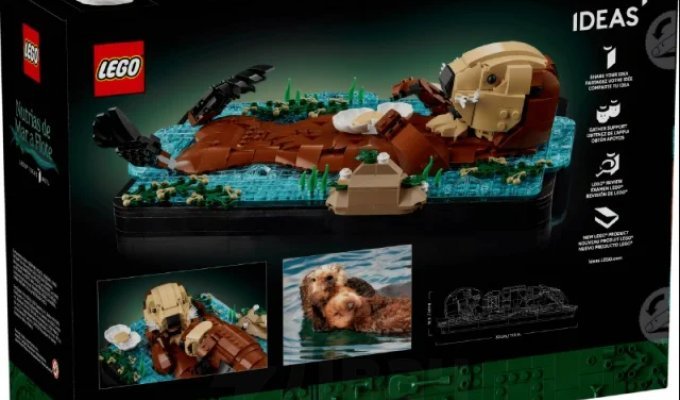 Душевный набор Lego (7 фото + видео)