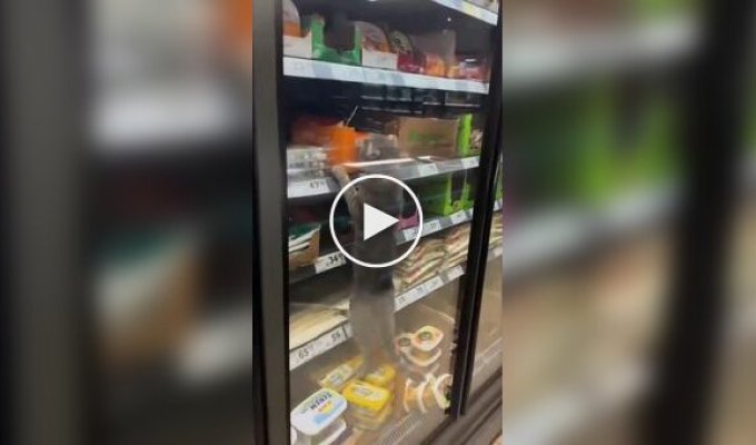 Специалист по контролю качества колбасных изделий