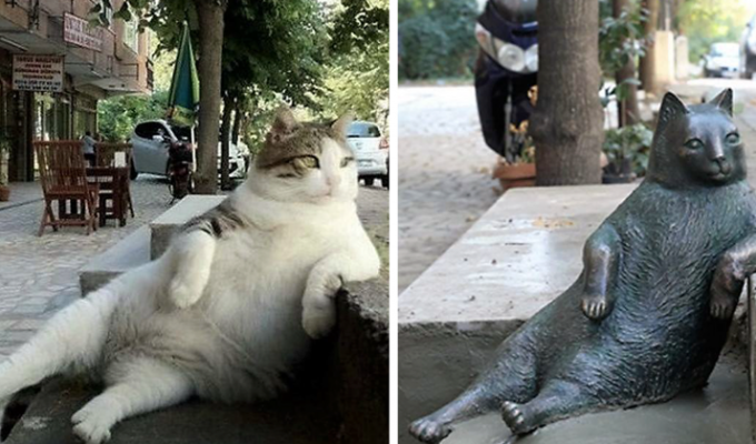 Самый знаменитый кот Стамбула удостоен памятника из бронзы (8 фото)