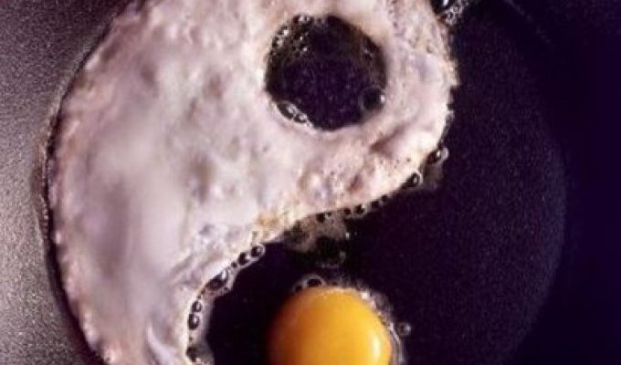 Что можно сделать из яиц (15 фото)