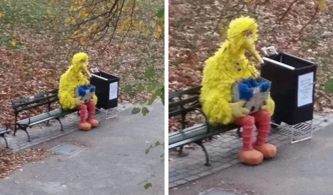 19 Photos With More Drama Than Any Daytime Talk Show (19 photos)